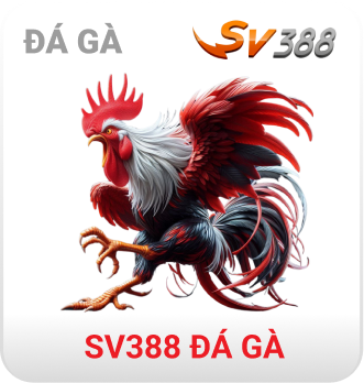 MM88 11 sv388-da-ga